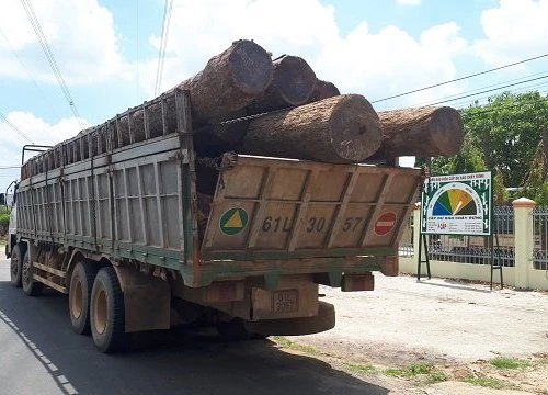 Nóng trong ngày: Cán bộ có nhận tiền Phượng 'râu' hay không?