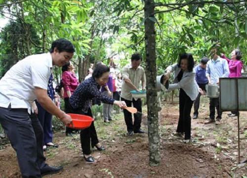 Đồng chí Trương Thị Mai làm việc với Hội khuyến học tỉnh Phú Thọ