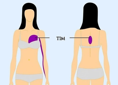 9 vị trí nếu thấy đau thì bạn nên cẩn trọng và đi khám càng sớm càng tốt