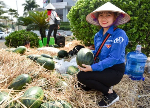 Nhóm sinh viên Hà Nội "giải cứu" dưa hấu ế giúp nông dân Quảng Ngãi