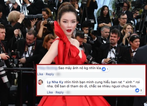 Anti-fan mỉa mai bị 'ngó lơ' tại thảm đỏ Cannes 2018, Lý Nhã Kỳ lên tiếng đáp trả