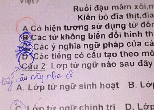 Những hình ảnh lầy lội quen thuộc chỉ có thể thấy khi bạn đến trường