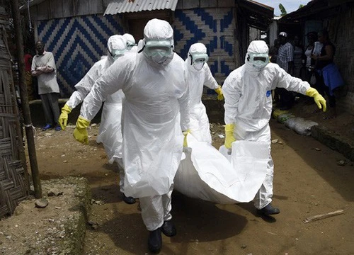 Ebola lại bùng phát, WHO và Congo gấp rút đối phó