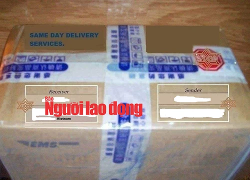 Trai Tây sa lưới vì cấu kết lừa đảo "quý bà" Việt