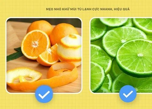 Đánh bay mùi hôi khó chịu trong tủ lạnh chỉ với vật dụng cực dễ kiếm này