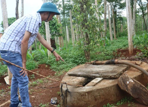 Giếng nước ăn nghi bị đổ thuốc sâu đầu độc, nữ sinh lớp 8 phải nhập viện