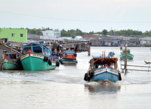 Điều tra nguyên nhân tử vong của một ngư dân