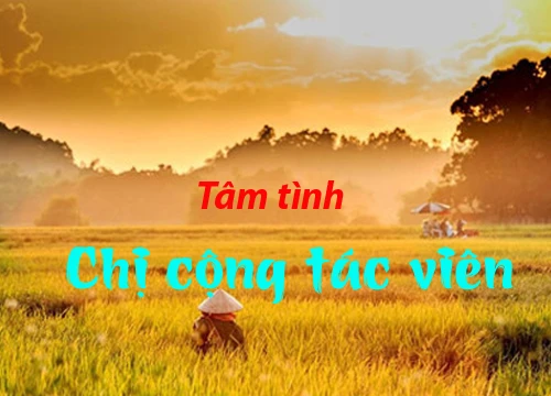 Chị cộng tác viên này đích thị là người có tâm nhất quả đất rồi!