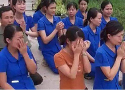 &#8216;Giáo viên mầm non quỳ lạy là có sự dàn dựng&#8217;