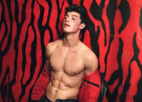 Shawn Mendes đẹp trai đến rụng rời trong MV mới