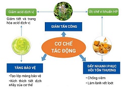 Thuốc trị đau dạ dày: Hiểu đúng để dùng đúng