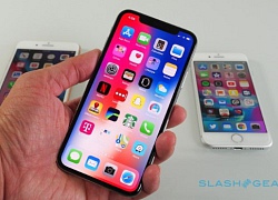 Tại sao Apple vẫn sẽ gắn bó với iPhone LCD vào năm sau?