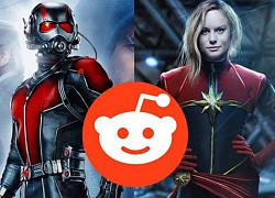 Tiếp tục bị nghi làm lộ kịch bản cả hai bom tấn sắp tới, Reddit đúng là khắc tinh của Marvel!