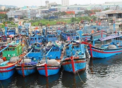 Để cảng cá xanh trong, sạch mùi hãy học kinh nghiệm của Đà Nẵng