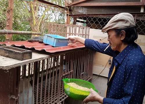 Giang còi và nghề "tay trái" chăn nuôi kiêm bác sĩ thú y ít ai ngờ