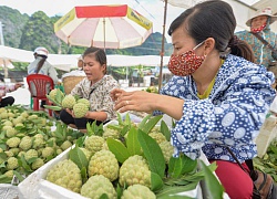 Một trong 50 loại quả ngon nhất Việt Nam sắp đổ bộ Thủ đô