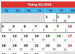 Tết 2019 người lao động sẽ được nghỉ 9 ngày liên tục?