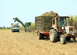 Đừng ỷ bảo hộ, ngành đường Việt hãy "cắp sách" sang học người Thái