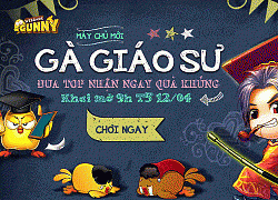 Gà giáo sư