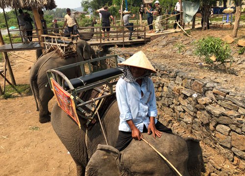 Gánh nặng vì voi ở Buôn Đôn