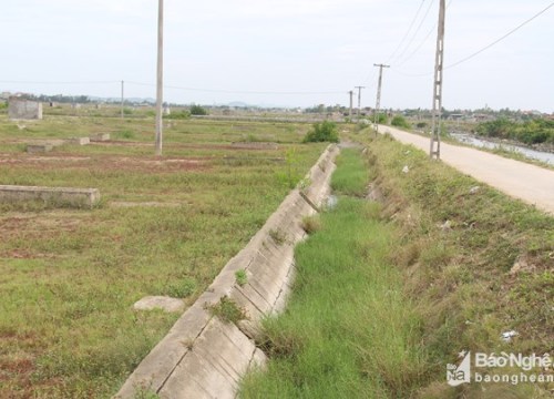 Hoang tàn làng làm muối hàng chục ha bị bỏ quên, cỏ mọc um tùm