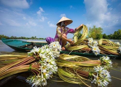 Tử vi thứ 5 ngày 21/6/2018 của 12 con giáp: Tuổi Sửu được Chính Tài nâng đỡ, Tuổi Dần gặp ngày Tương xung