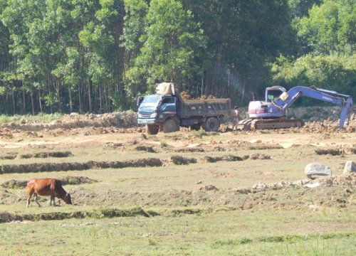 Xót xa nhìn cánh đồng lúa tan hoang vì xe tải "ăn" đất sét