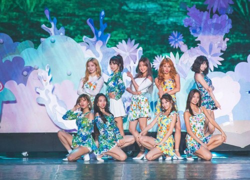 Cảnh sát điều tra fan cổ vũ TWICE bằng slogan của... băng đảng xã hội đen