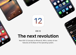 Đã có thể tải về phiên bản beta công khai của iOS 12