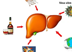 Gan dễ bị "tổn thương" đến mức nào?