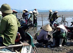 Ngang ngược: Muốn xuống bãi triều bắt sá sùng thì phải "nộp tô"