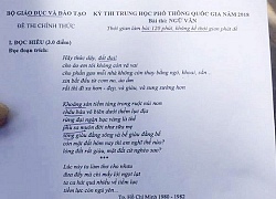 Nhà thơ Nguyễn Duy: "Tôi bất ngờ vì tác phẩm được đưa vào đề thi THPT quốc gia"