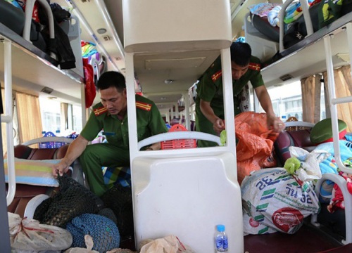 Tê tê, rùa, ba ba "ngồi" xe khách sang trọng từ Lào về Việt Nam