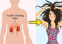 Tỉnh táo với 10 dấu hiệu không rõ ràng nhưng lại là tín hiệu cho thấy thận của bạn đang có vấn đề