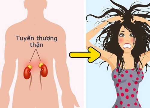 Tỉnh táo với 10 dấu hiệu không rõ ràng nhưng lại là tín hiệu cho thấy thận của bạn đang có vấn đề