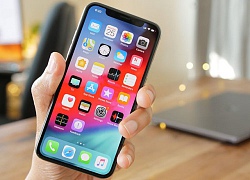 Cách tải và cài đặt iOS 12 beta mới nhất cho iPhone, iPad