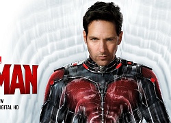 Ant-Man liệu có phải siêu anh hùng nhàm chán nhất vũ trụ Marvel?