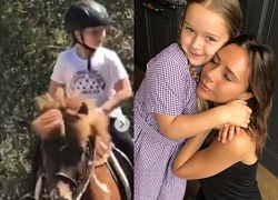 Harper Beckham được bố mẹ tặng chú ngựa hơn 200 triệu trong dịp sinh nhật 7 tuổi