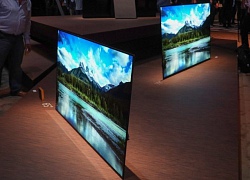 Công nghệ màn hình OLED và QLED có gì khác nhau?