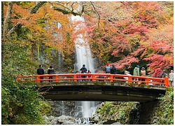 Khám phá thiên nhiên tươi đẹp tại Osaka