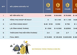 "Bánh vẽ" dụ khách của Sky Mining hấp dẫn thế nào?