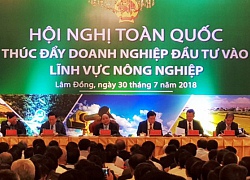 Chỉ 8% doanh nghiệp đầu tư vào nông nghiệp