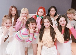 Fan Kpop xôn xao trước tin MOMOLAND sang Việt Nam tháng 8 tới