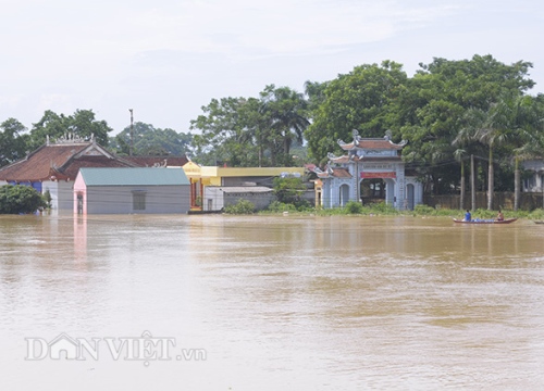 Hà Nội: Ngập ngày thứ 9, nước mắt nông dân hòa vào nước lũ