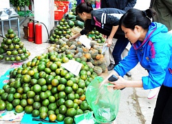 Mập mờ rau quả Trung Quốc nhập tiểu ngạch, đánh giá... bằng mắt?