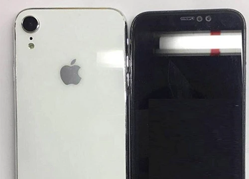 Mô hình iPhone X Plus và iPhone 9 'giá rẻ' xuất hiện