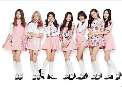 Sau nhiều lần đồn đoán, MOMOLAND chính thức xác nhận sang Việt Nam vào tháng 8 sắp tới