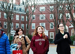 Một ngày của sinh viên Harvard: Học, học và chỉ học!