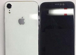 Nóng: Đây chính là hình ảnh iPhone X giá rẻ sắp ra mắt