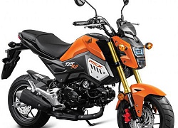 2018 Honda MSX 125 SF &#8220;sặc sỡ&#8221; trong tùy chọn màu mới